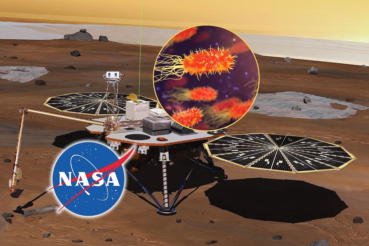 NASA descubre 26 nuevas bacterias superresistentes a ambientes hostiles en sala de sonda espacial lanzada a marte años atrás: ¿Riesgo para futuras misiones?