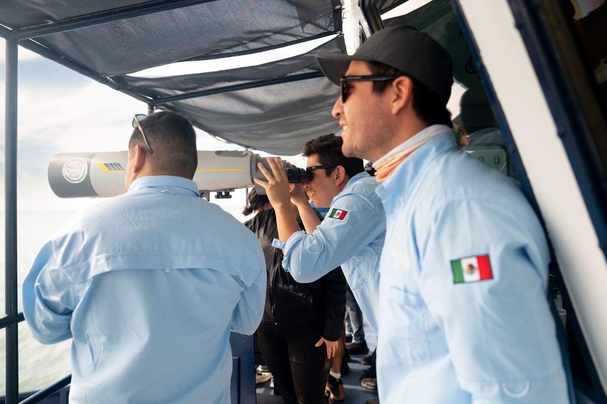 México entrena a nueve observadores para buscar a la vaquita marina en el Alto Golfo de California
