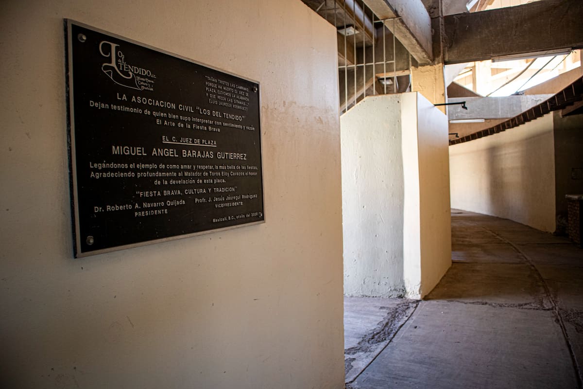 Foto. Andrés O. Farrera