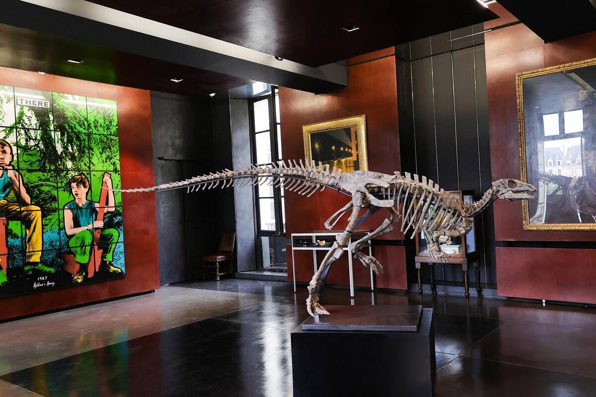 Subastan dinosaurio de 150 millones de años en París