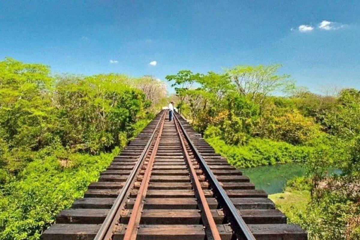 Aprueban recurso de Fonatur para continuar obras del Tren Maya en Chiapas