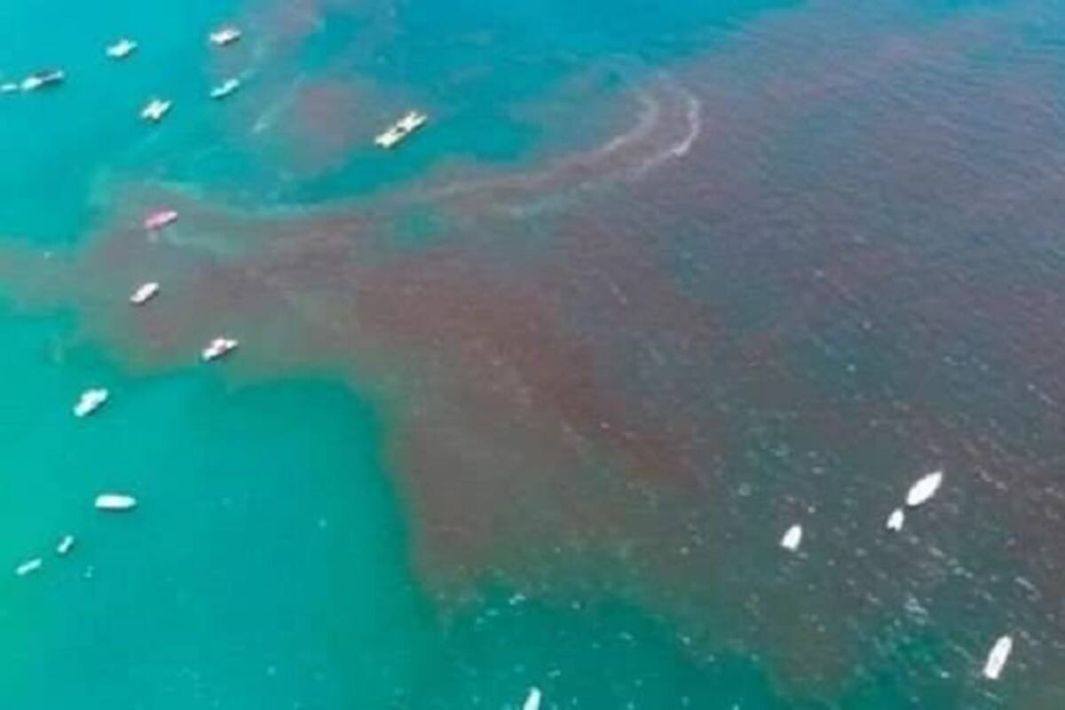 Yucatán: Marea roja no representa riesgo de salud ni a la pesca