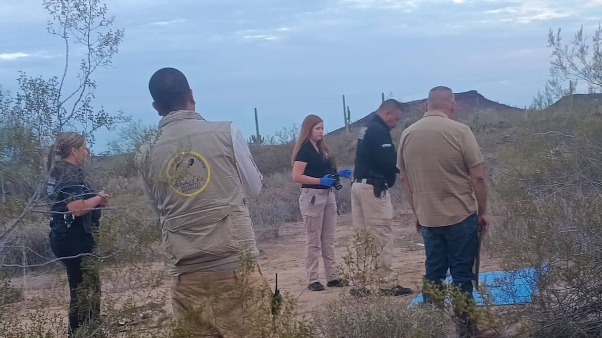 Colectivos encuentran osamenta y restos oseos en Sonoyta