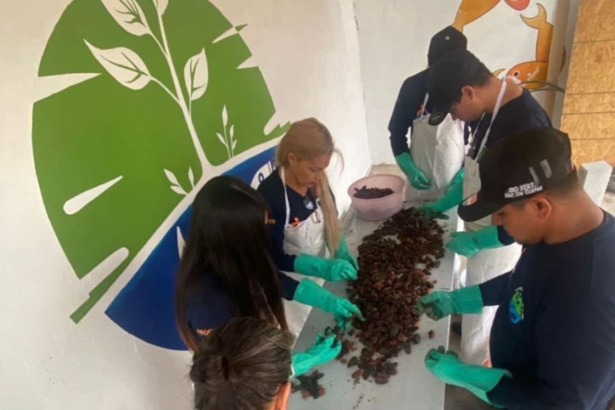 Proyecto del Alto Golfo transforma residuos pesqueros y agrícolas en biofertilizante orgánico