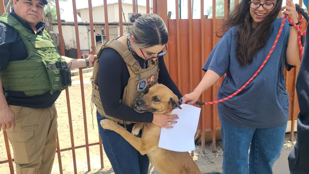 Foto: Cortesía / FGE