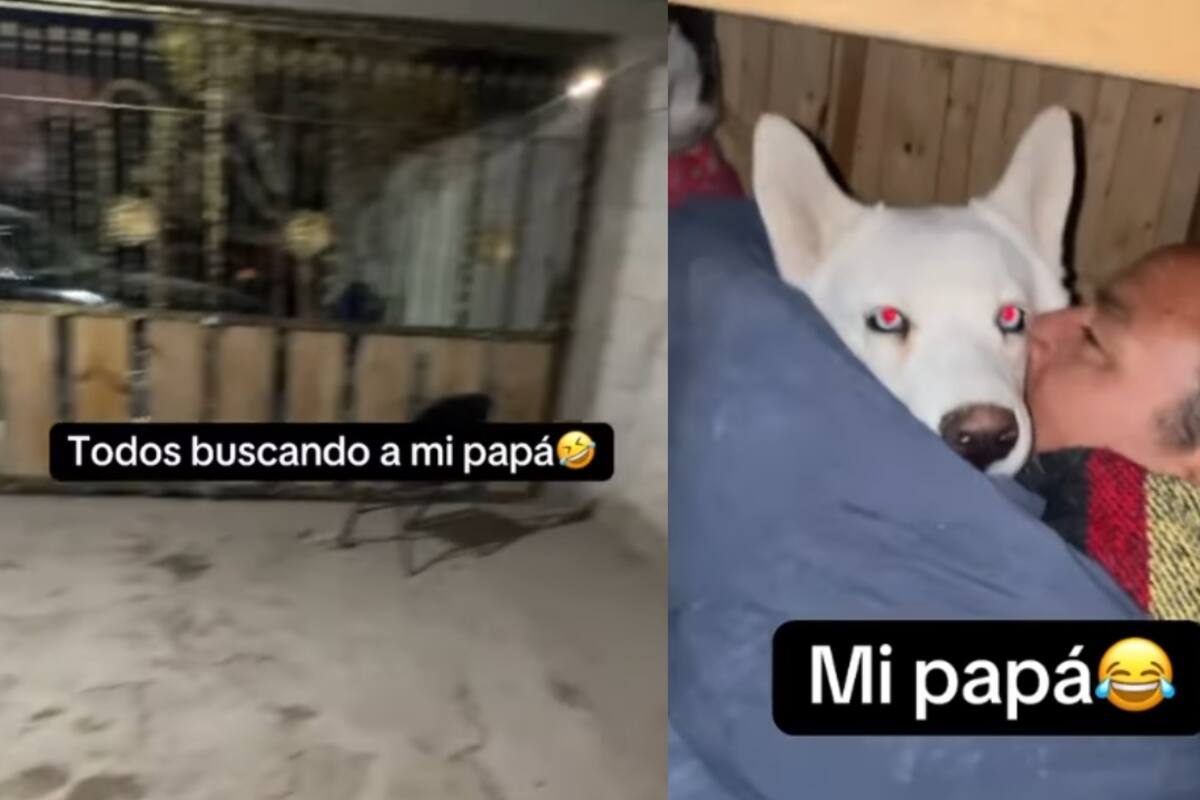 Joven graba a su padre perdido y lo encuentran dormido en la casa de los perros