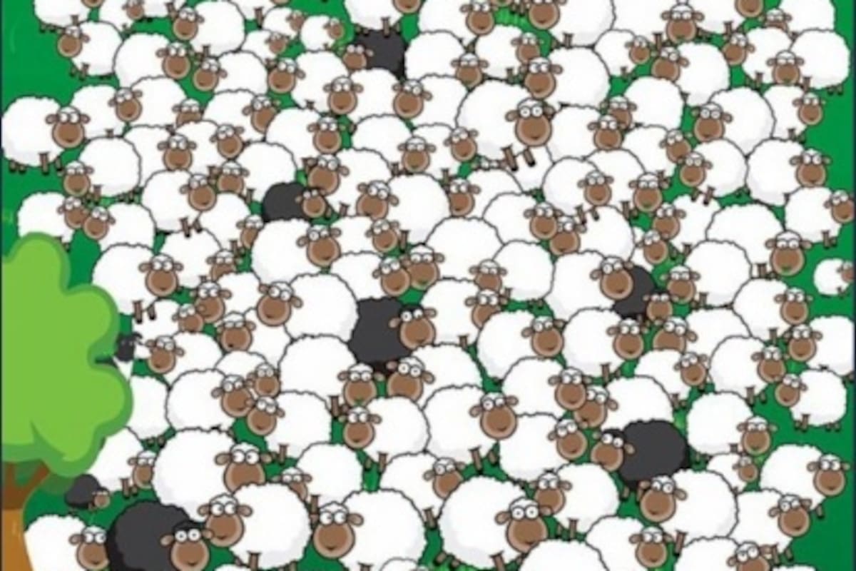 Reto Visual: Encuentra al perro escondido entre las ovejas