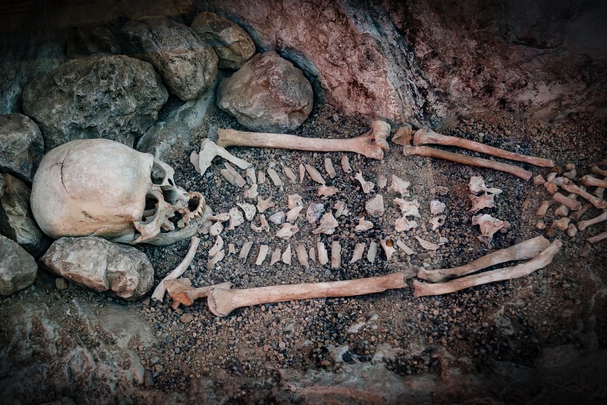 El genoma de un neandertal revela una población fantasma que sobrevivió 50,000 años en aislamiento total