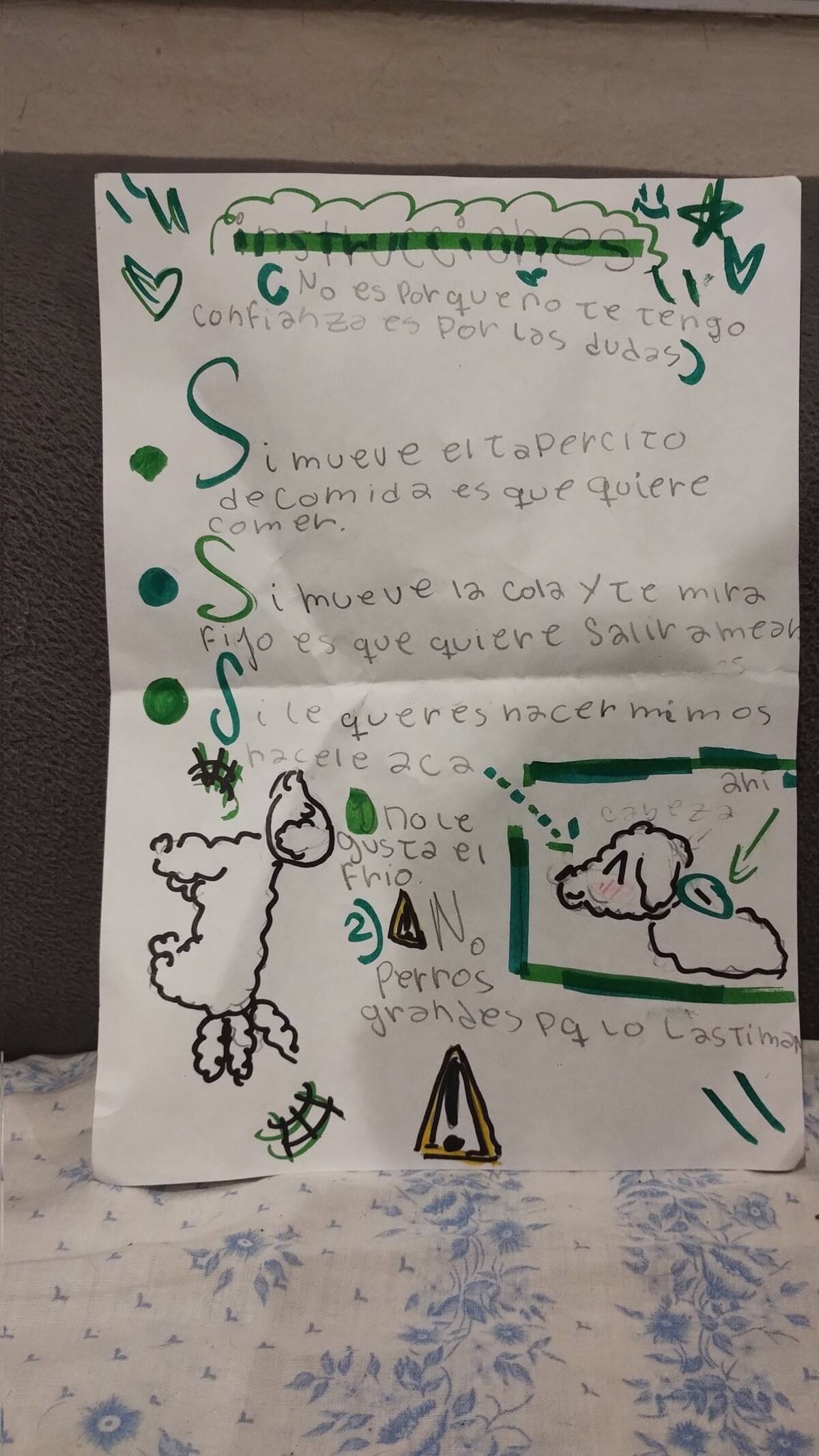 Pequeña deja una carta con instrucciones en la guardería canina donde se hospedara su mascota. Foto: X MoreDogMoreLove