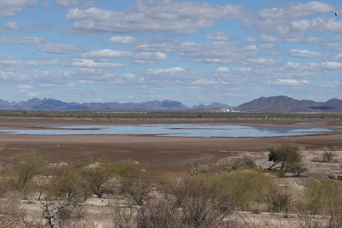 Reciben presas de Sonora primeras aportaciones por lluvias