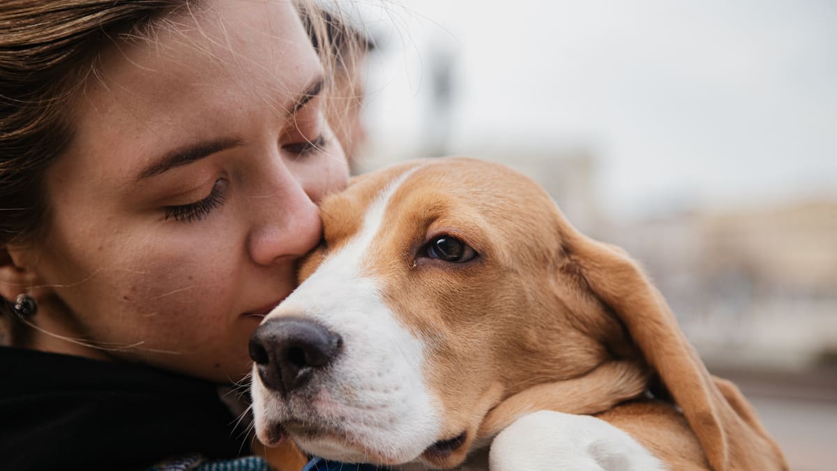 Gastos en mascotas en México supera los 1600 pesos al mes; 60 millones de perros y gatos ya forman parte de las familias