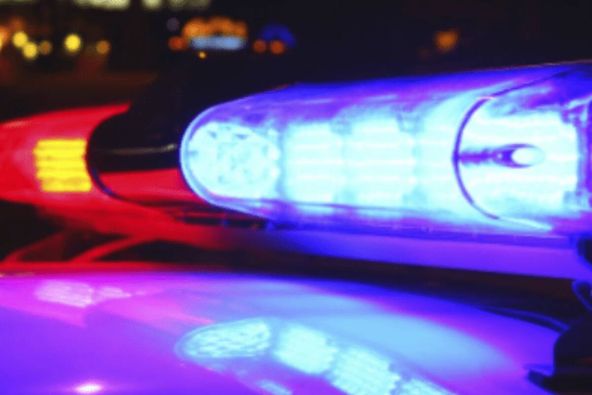 Hallan cuerpo calcinado tras incendio de palmeras