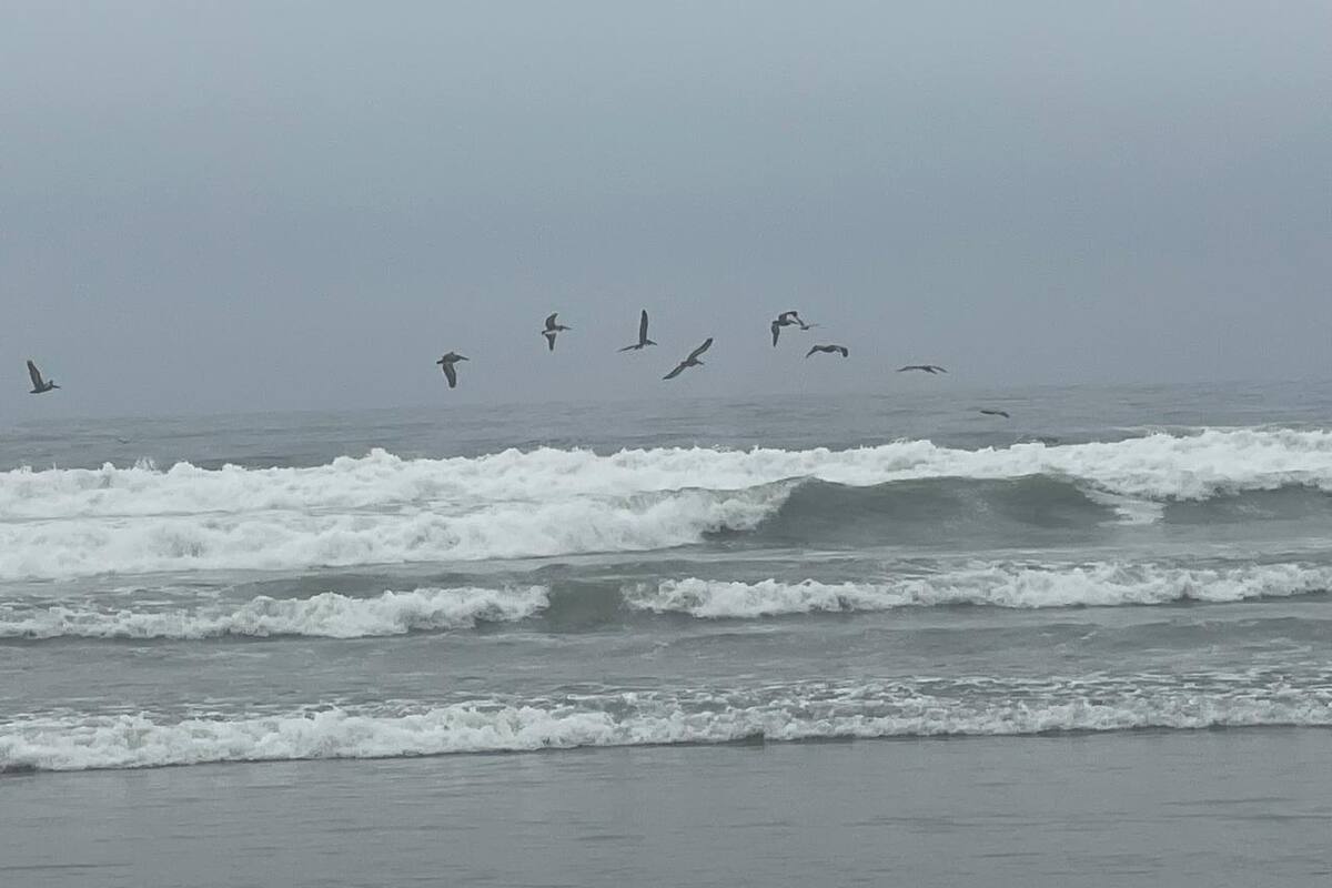 Descartan que playa de Rosarito esté contaminada