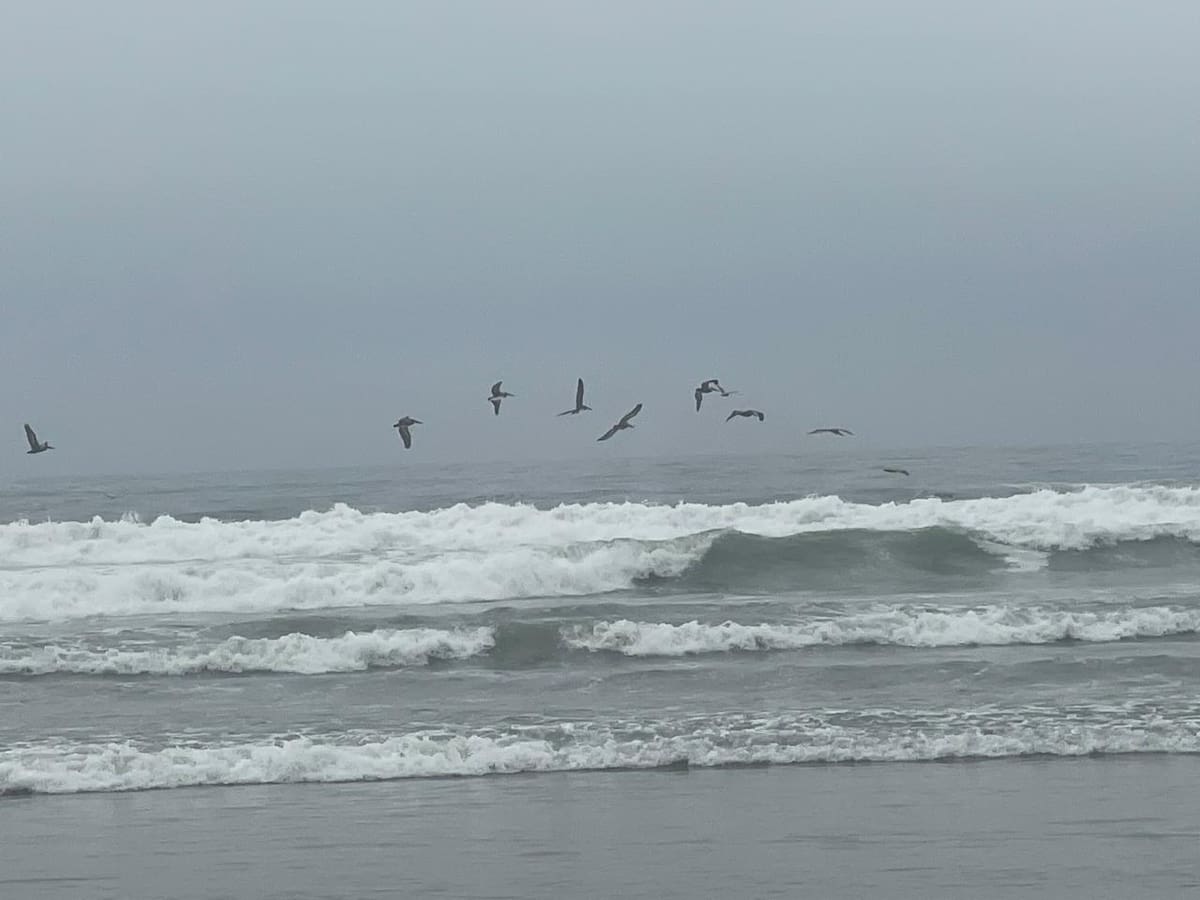 En 2024, se registraron 4 mil 263 homicidios en esta ciudad caribeña, donde “el estado perdió el monopolio del uso de la fuerza”, según el informe. Foto: Carmen Gutiérrez