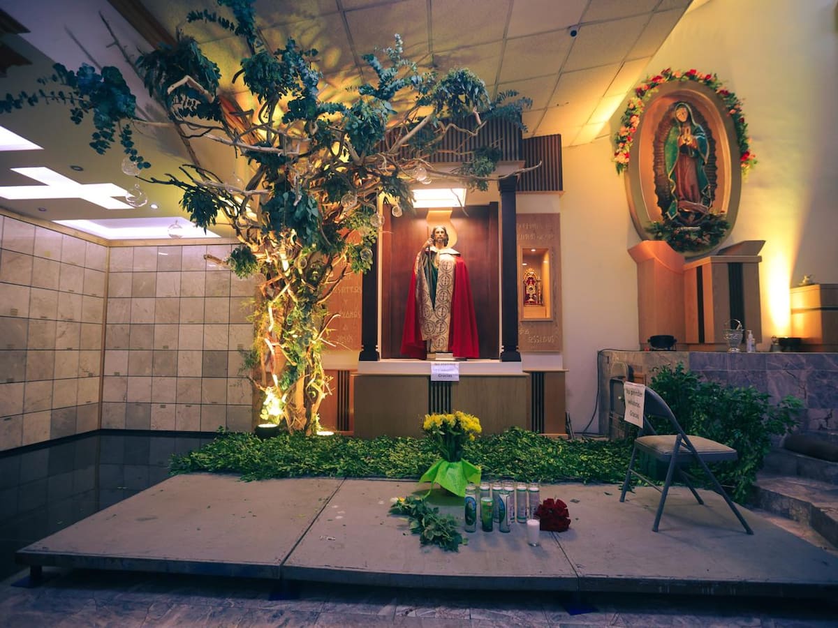 Foto: Juan J. Morales.