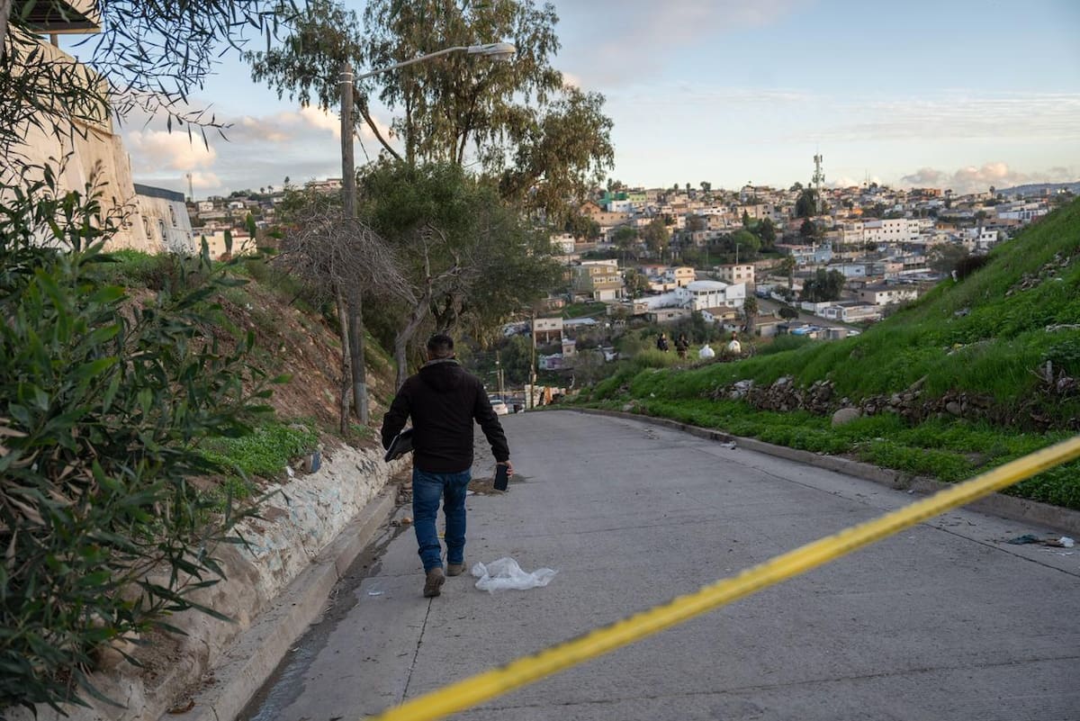 Elementos de la Fiscalía General del Estado localizaron los restos de una perrita presuntamente víctima de maltrato animal. Foto: Border Zoom