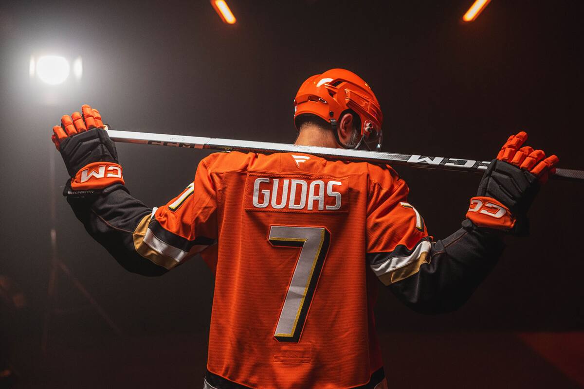 Los Anaheim Ducks son un símbolo del condado de Orange, al Sur de California.