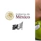 Por qué deberías fijarte en las calcomanías de la fruta antes de meterla a tu carrito