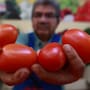 Inflación en Sonora alcanza 4.01% por subida récord de precios del tomate, tomatillo y otros alimentos