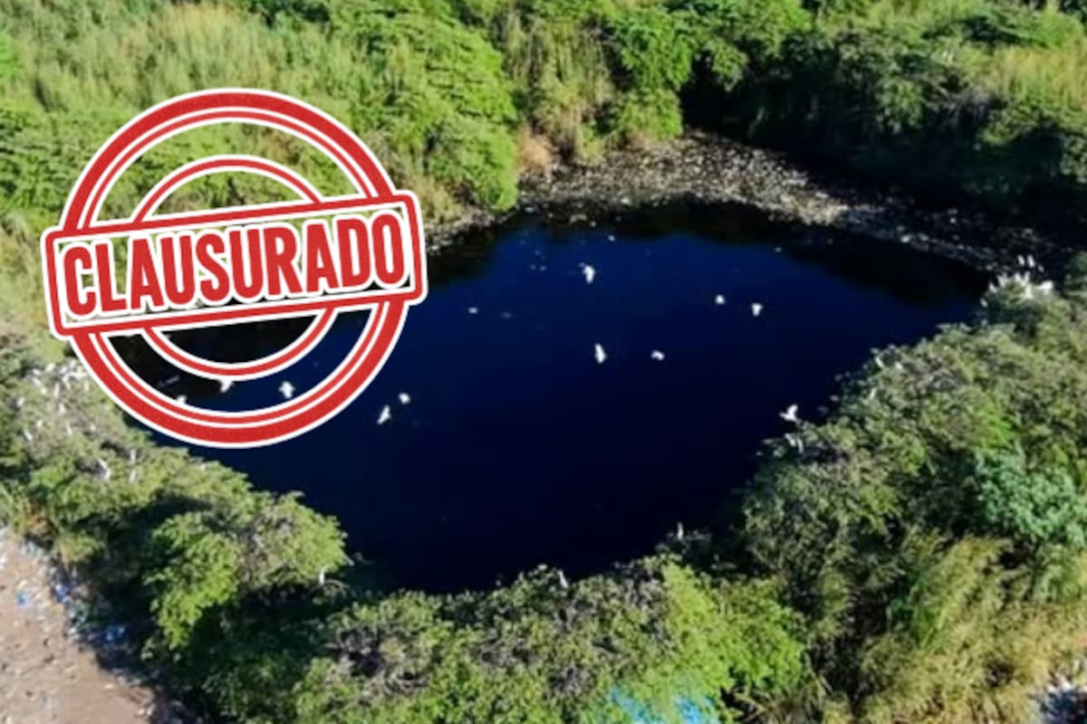 Profepa clausura basurero en Chiapas por riesgo ambiental: residuos a cielo abierto y fauna nociva en la zona