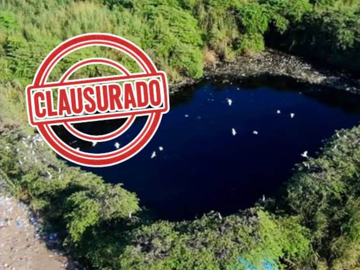 Profepa clausura basurero en Chiapas por riesgo ambiental: residuos a cielo abierto y fauna nociva en la zona