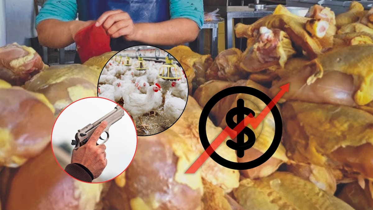 Detectan sobreprecios en el pollo en Edomex: localidades pagan hasta 372% más. Foto: Especial