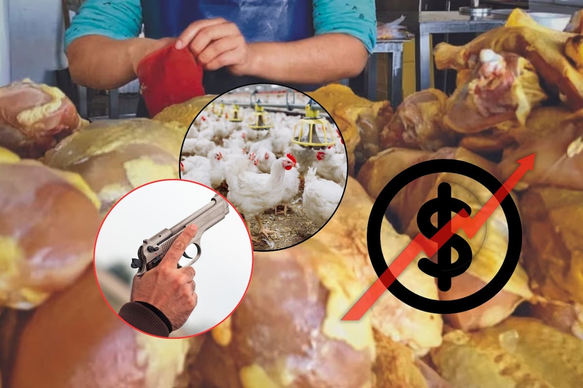 Precio del pollo se dispara y localidades pagan hasta 372% más por extorsiones de La Familia Michoacana en Edomex