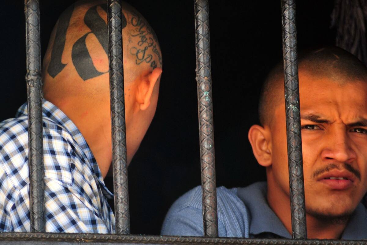 Capturan a líder de alto rango de la Mara Salvatrucha por terrorismo