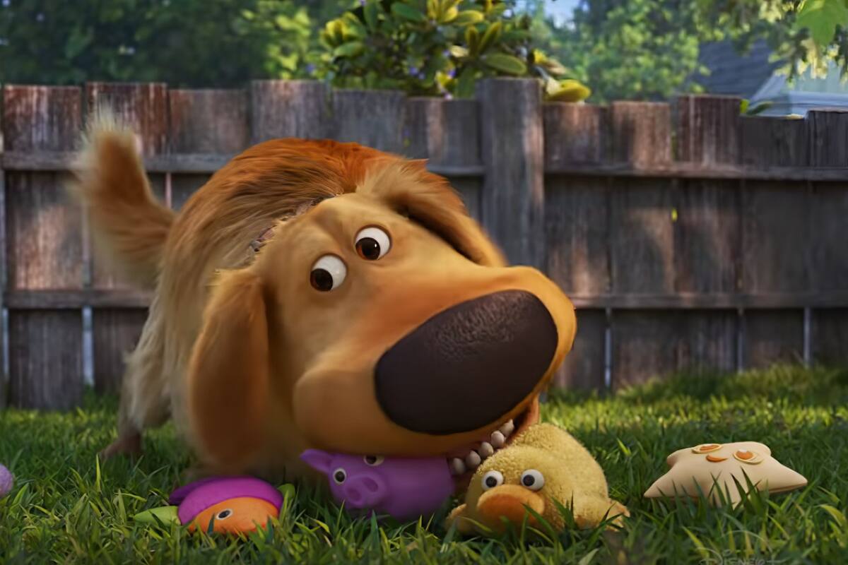 Disney Plus estrena tráiler oficial de “Dug Days”, el spin off de “UP”