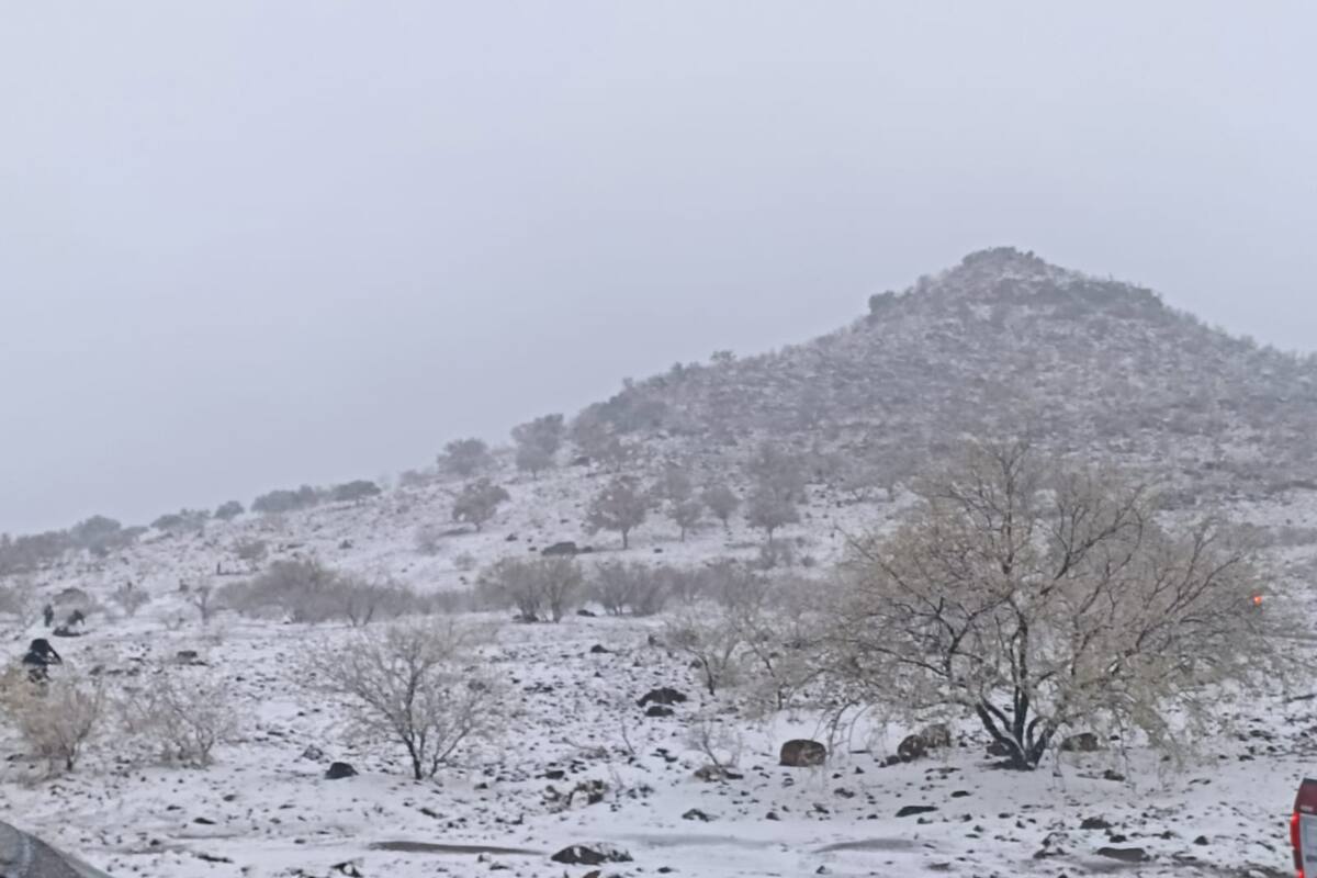 Nieva en siete municipios del Norte de Sonora
