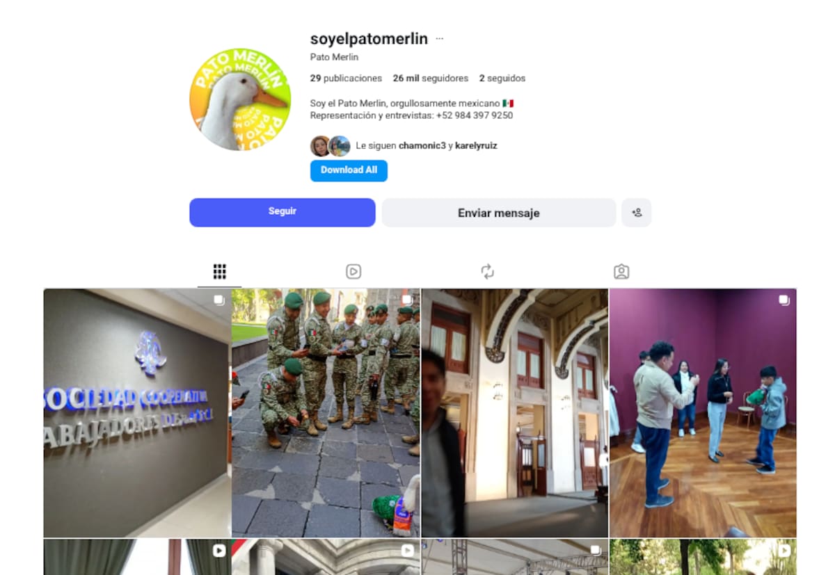 Pato Merlín ya tiene redes sociales y así presume los lujos con los que lo consienten.