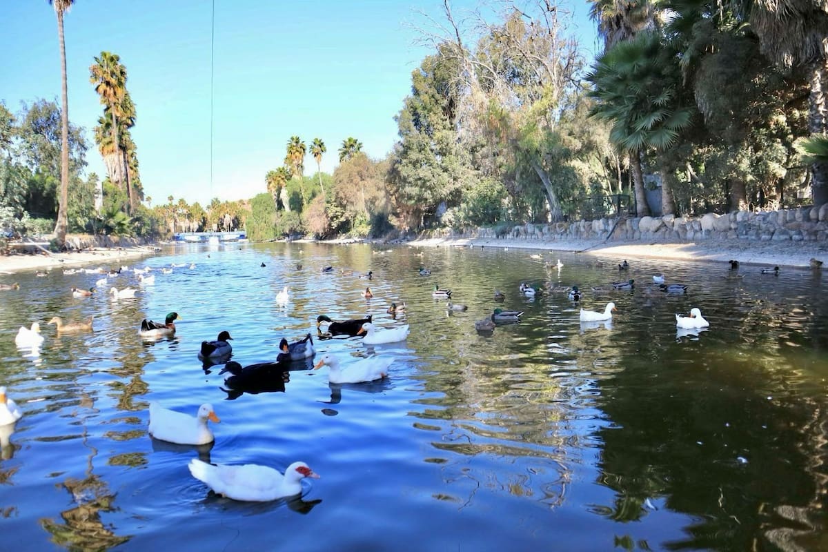 Parque Morelos reabre las áreas que estaban en cuarentena