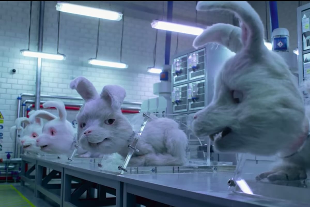 "Save Ralph", el corto animado que pide parar con el maltrato animal