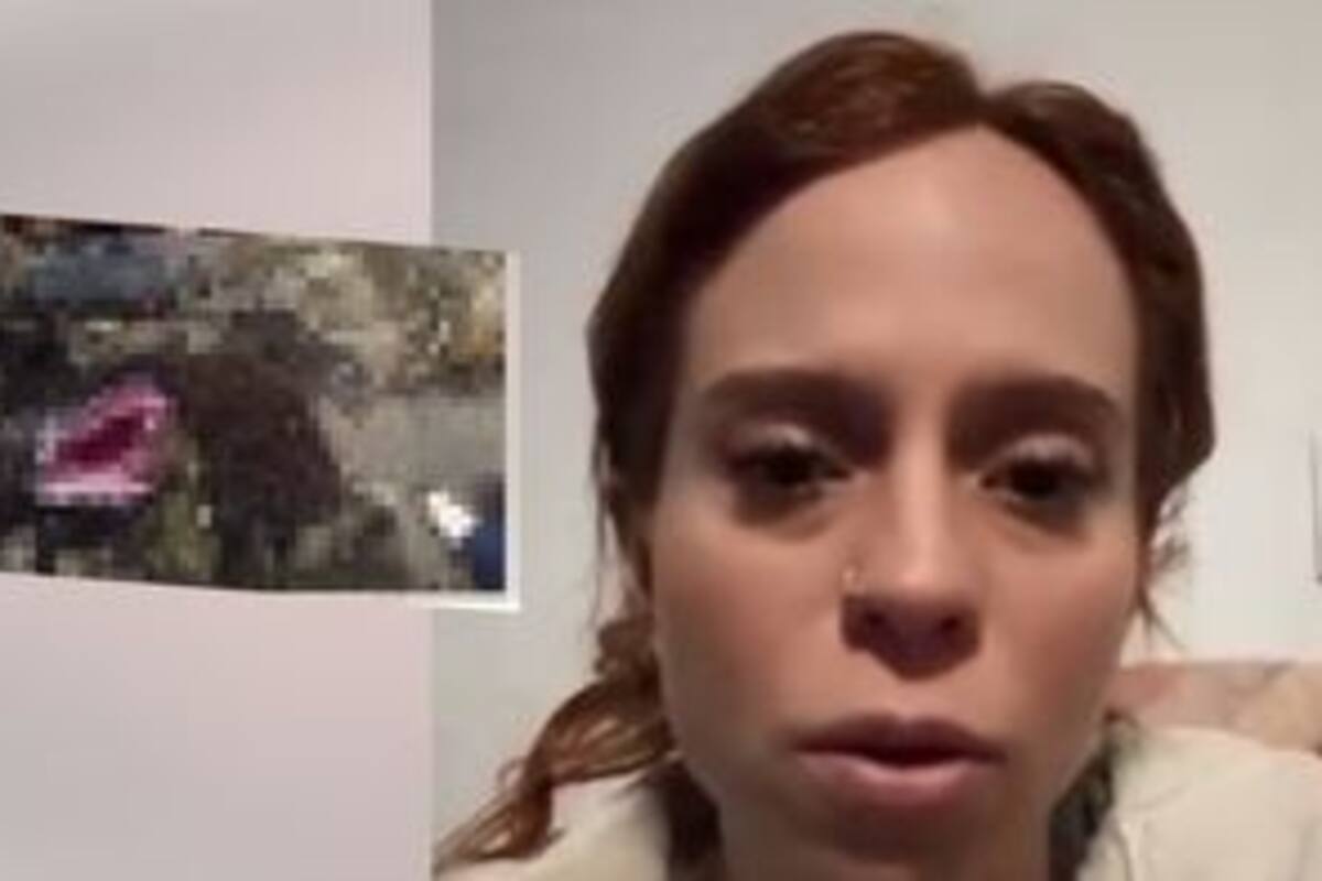 Le sacan órganos a seis borregos y golpean a perritos de una fundación de animales en CDMX