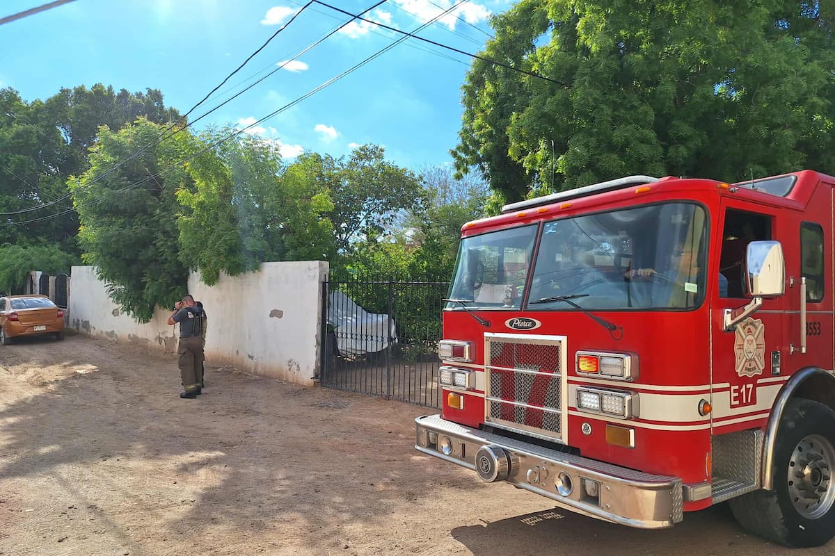 Tres heridos por picaduras de abejas en colonia La Manga; evitan tragedia mayor