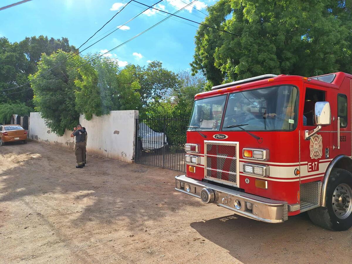 Imagen por Misael Montaño.