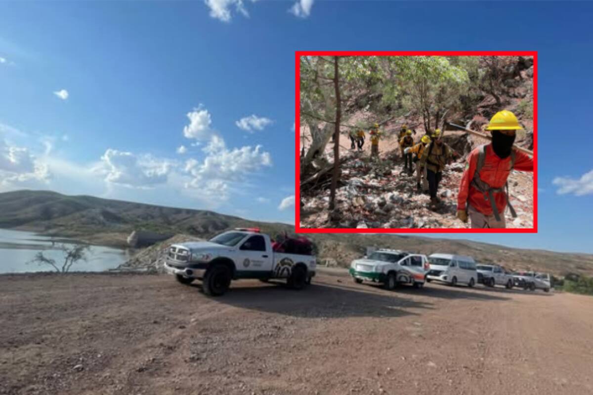 Controlan 90 % del incendio forestal en la Sierra Los Ajos; 107 brigadistas combaten el fuego desde hace dos semanas