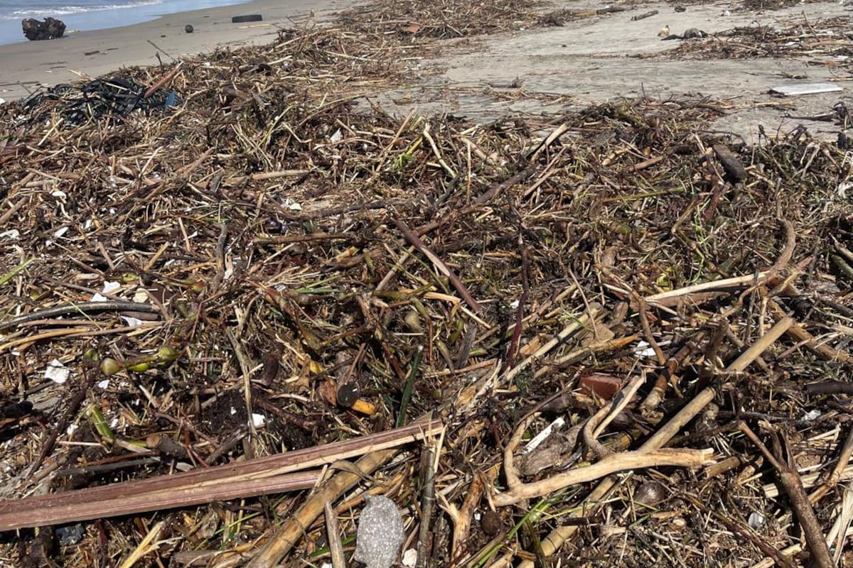 Basura inunda playas de Rosarito tras lluvias