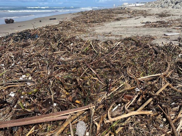 Basura inunda playas de Rosarito tras lluvias