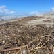 Basura inunda playas de Rosarito tras lluvias