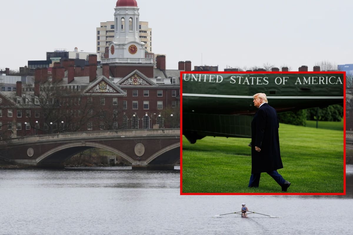 Harvard demanda a la administración Trump por prohibir la inscripción de estudiantes extranjeros: “Sin estudiantes internacionales, Harvard no es Harvard”, responde