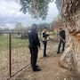 Continúan activistas estadounidenses protegiendo al último álamo de Lochiel