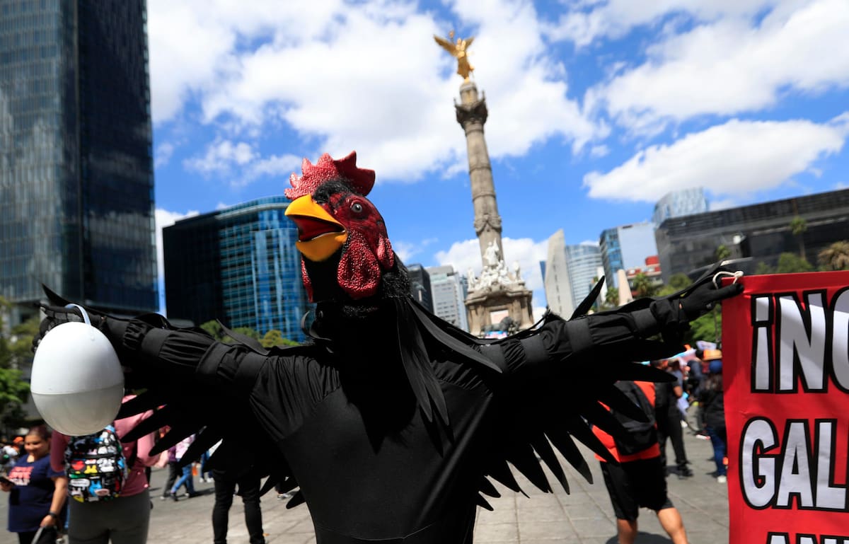 Personas convocadas por organizaciones defensoras de los derechos de los animales protestan hoy, en el Ángel de la Independencia, en Ciudad de México (México). EFE/David Guzmán
