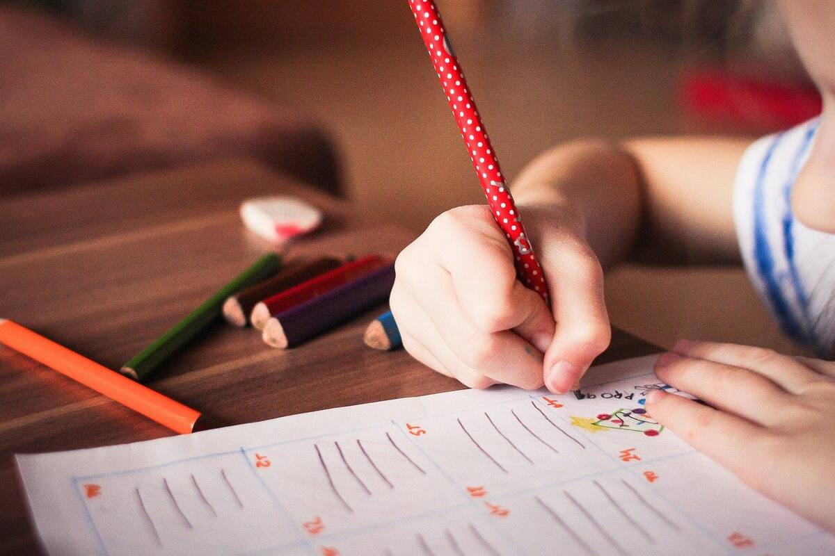 SEC abrirá nuevo período de inscripciones para educación básica del 6 al 21 de agosto