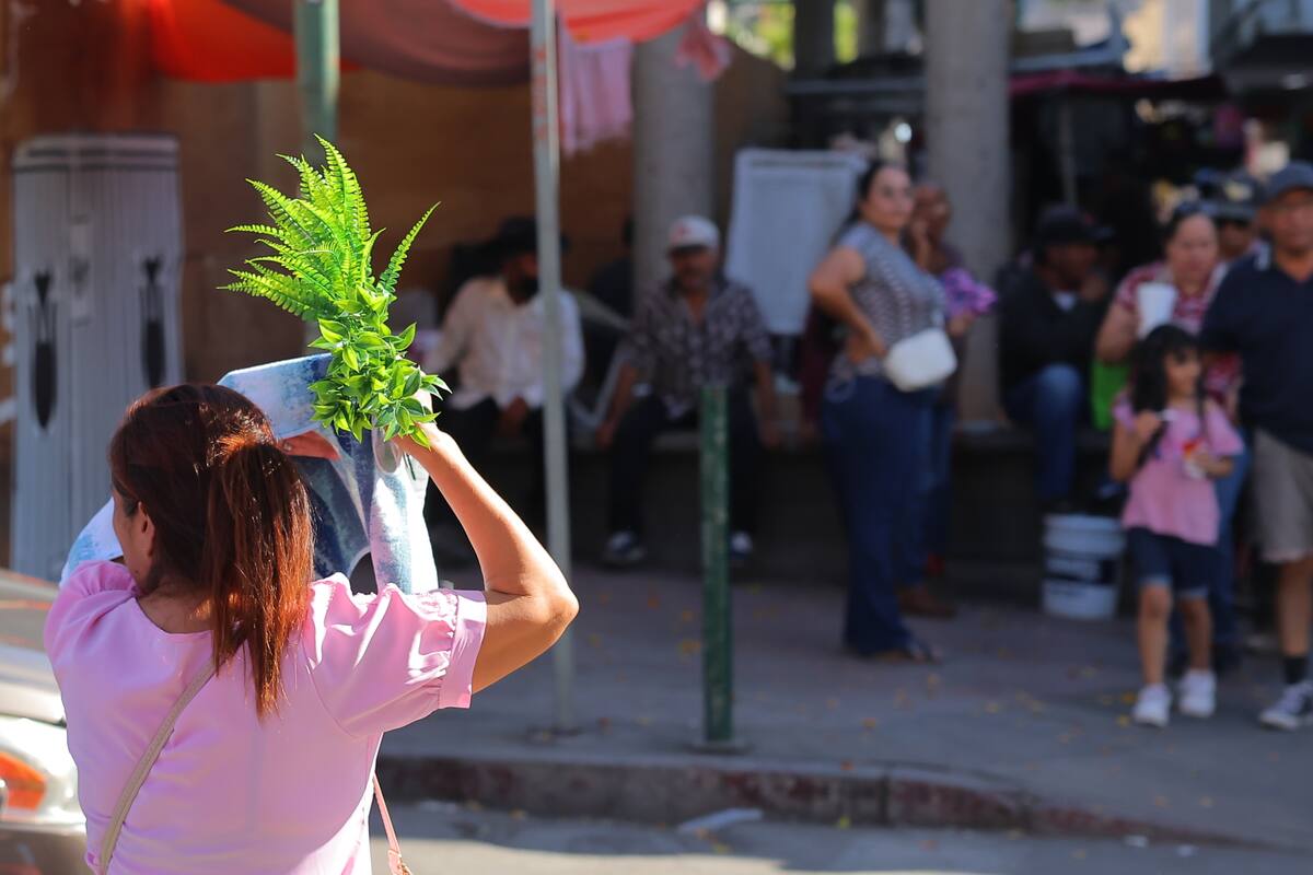Pronostican domingo caluroso; pero lunes con ligero descenso