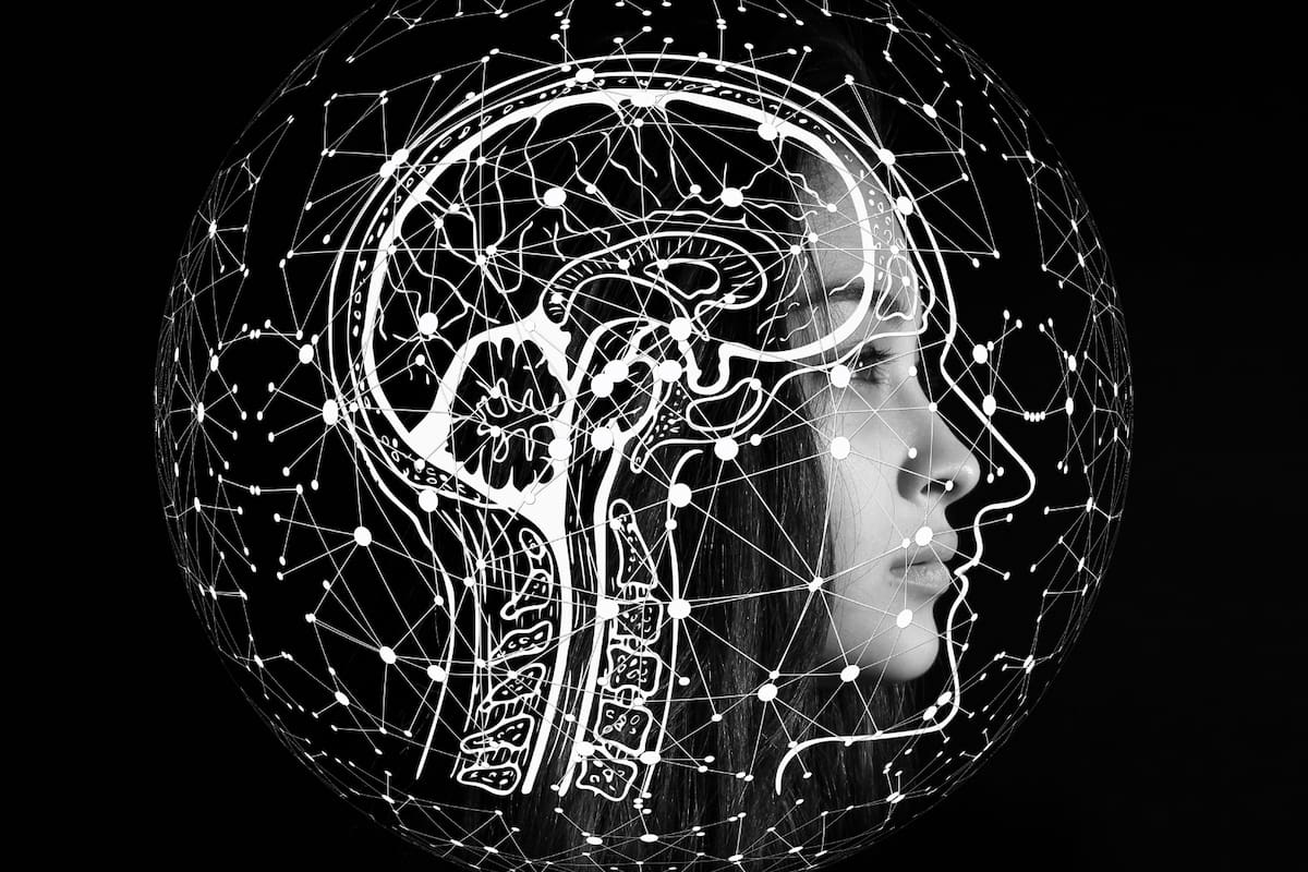 ¿Cómo el cerebro decide qué recuerdos conservar y cuáles olvidar? Esto revela una experta