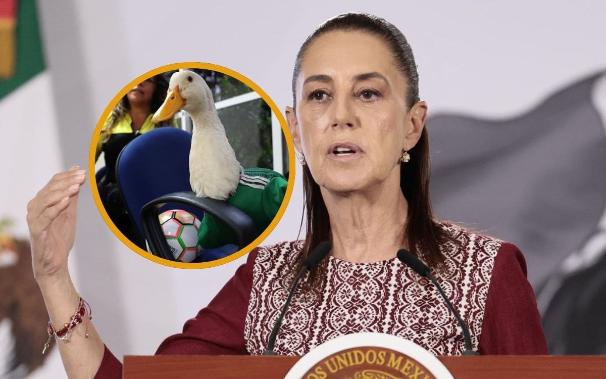 La presidenta Claudia Sheinbaum confirmó el apoyo del gobierno para que la familia registre legalmente al “Pato Merlín” ante el Instituto Mexicano de la Propiedad Industrial. Crédito: EFE