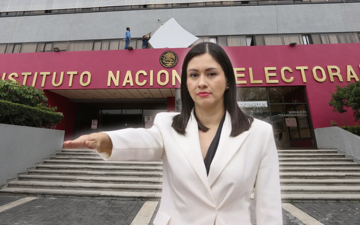 El Consejo General del INE elige a Blanca Cruz como presidenta provisional tras la renuncia de Taddei