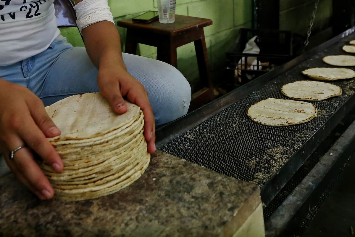 Precio de la tortilla en Tijuana supera los 30 pesos: Canacope