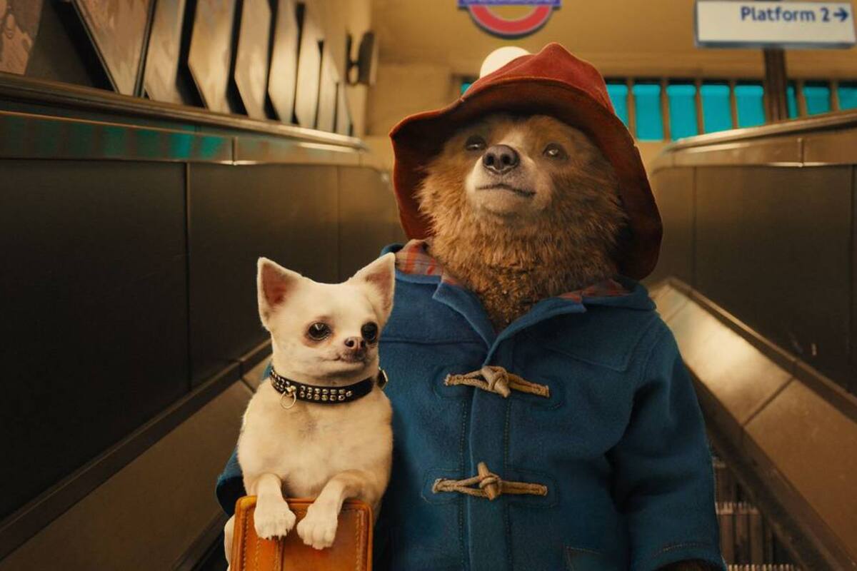 “Paddington en Perú” estrena su primer tráiler, con Olivia Colman y Antonio Banderas